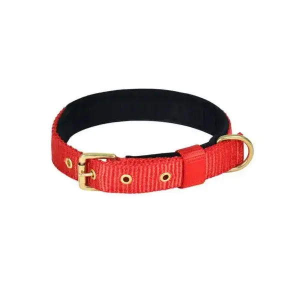 Dog Belt Big ( 1 Pcs )