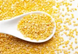 SPR Loose Organic Moong Dal Yellow - 250 g