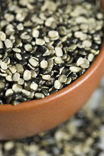 SPR Loose Urad Dal/Black Gram Split - 250g